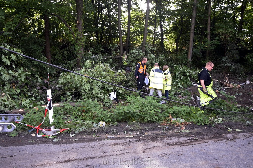 Schwerer VU A 3 Rich Oberhausen Hoehe AK Leverkusen P650.JPG - Miklos Laubert